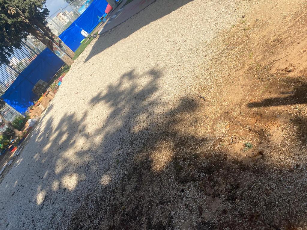 WhatsApp Image 2023-02-13 at 2.02.42 PM (4).jpeg